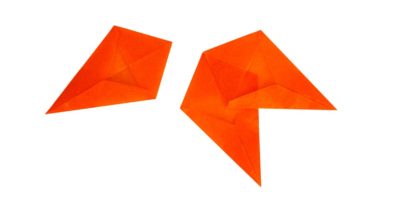 flor de pascua flor de pascua