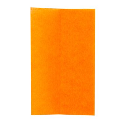 flor de pascua flor de pascua