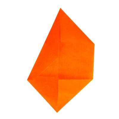 flor de pascua flor de pascua