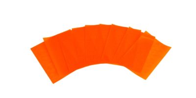 flor de pascua flor de pascua