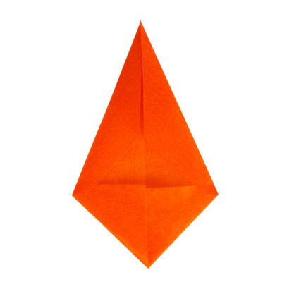 flor de pascua flor de pascua