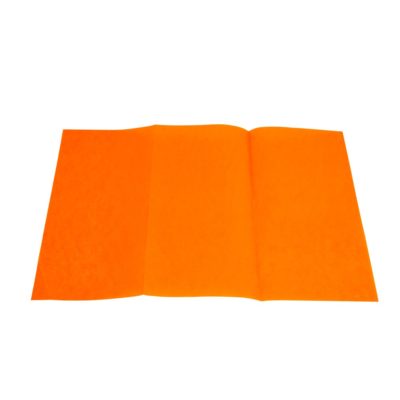 flor de pascua flor de pascua