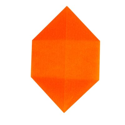 flor de pascua flor de pascua