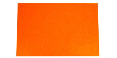 flor de pascua flor de pascua