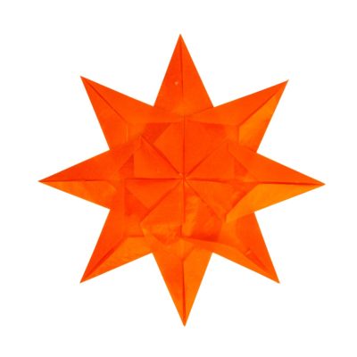 flor de pascua flor de pascua