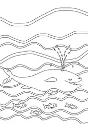 Dibujos para colorear - animales Dibujos para colorear - animales