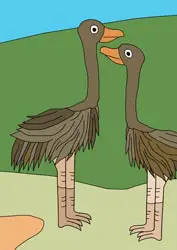Dibujos para colorear - animales Dibujos para colorear - animales