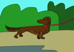 Dibujos para colorear - animales Dibujos para colorear - animales