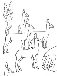 Dibujos para colorear - animales en invierno Dibujos para colorear - animales en invierno