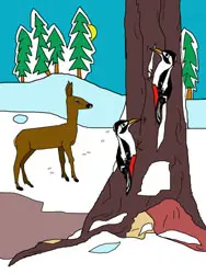 Dibujos para colorear - animales en invierno Dibujos para colorear - animales en invierno