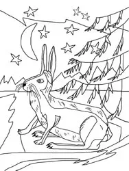 Dibujos para colorear - animales en invierno Dibujos para colorear - animales en invierno