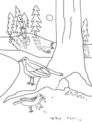 Dibujos para colorear - animales en invierno Dibujos para colorear - animales en invierno