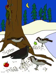 Dibujos para colorear - animales en invierno Dibujos para colorear - animales en invierno