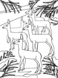 Dibujos para colorear - animales en invierno Dibujos para colorear - animales en invierno