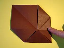 producción de perros producción de perros