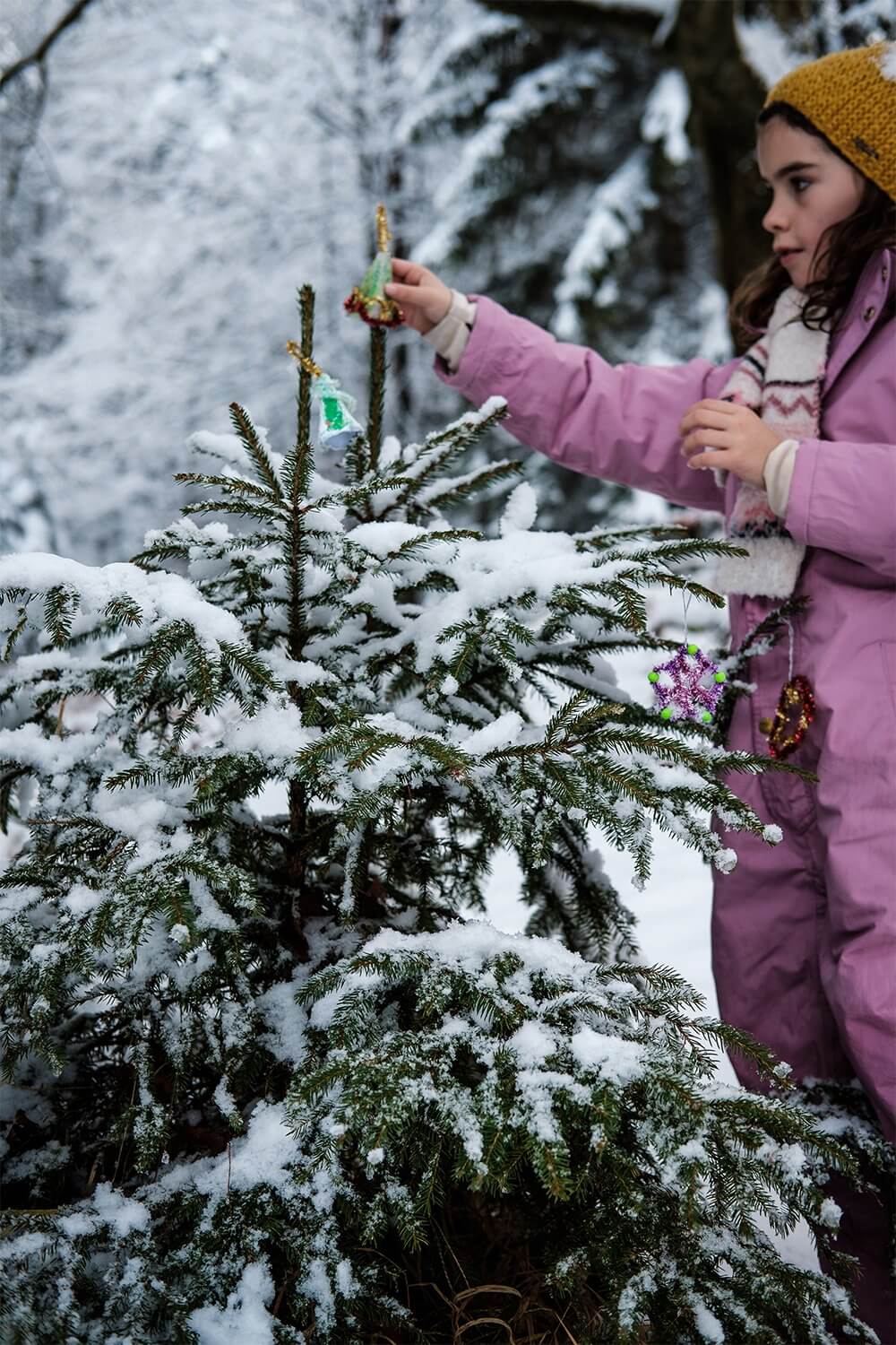 Todo de la mano de los niños: haz adornos sencillos para el árbol de exterior Todo de la mano de los niños: haz adornos sencillos para el árbol de exterior