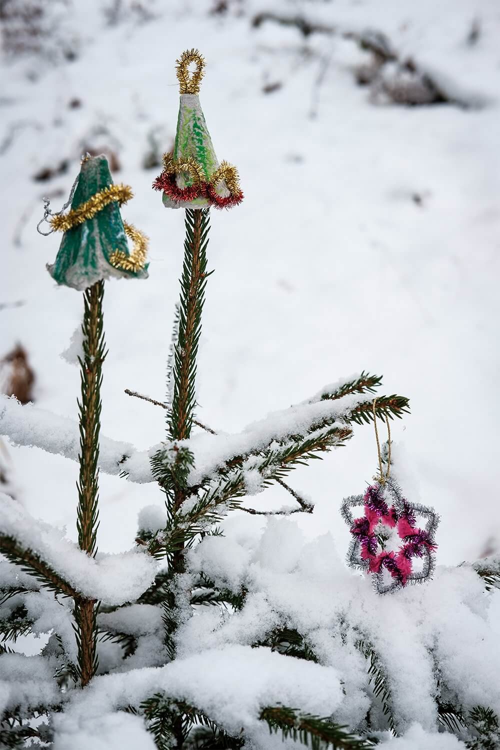 Todo de la mano de los niños: haz adornos sencillos para el árbol de exterior Todo de la mano de los niños: haz adornos sencillos para el árbol de exterior