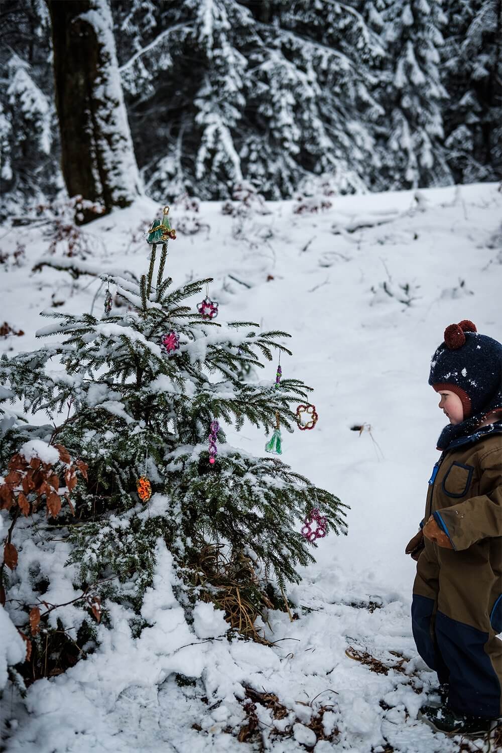 Todo de la mano de los niños: haz adornos sencillos para el árbol de exterior Todo de la mano de los niños: haz adornos sencillos para el árbol de exterior