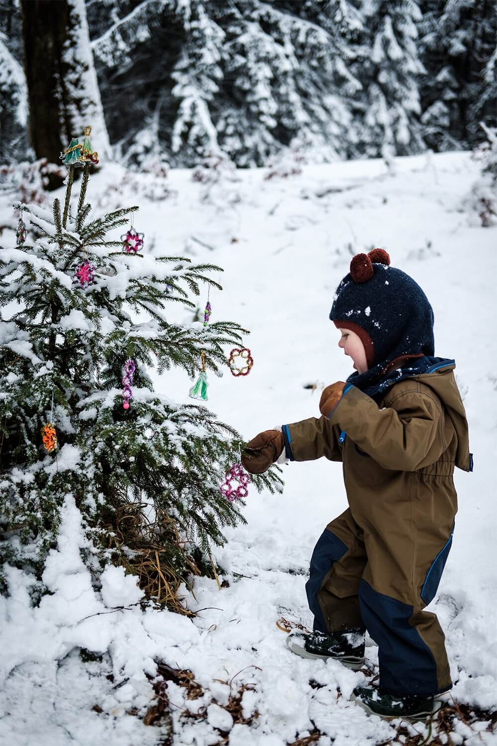 Todo de la mano de los niños: haz adornos sencillos para el árbol de exterior Todo de la mano de los niños: haz adornos sencillos para el árbol de exterior