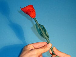 Manualidad del día de la madre Manualidad del día de la madre