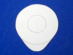 Mariquita con pompones Mariquita con pompones