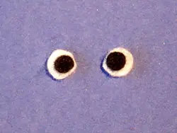 Mariquita con pompones Mariquita con pompones