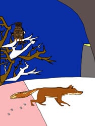 Dibujos para colorear - animales en invierno Dibujos para colorear - animales en invierno