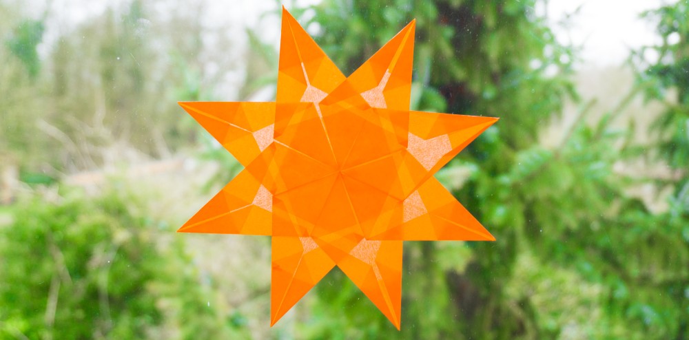 flor de pascua flor de pascua