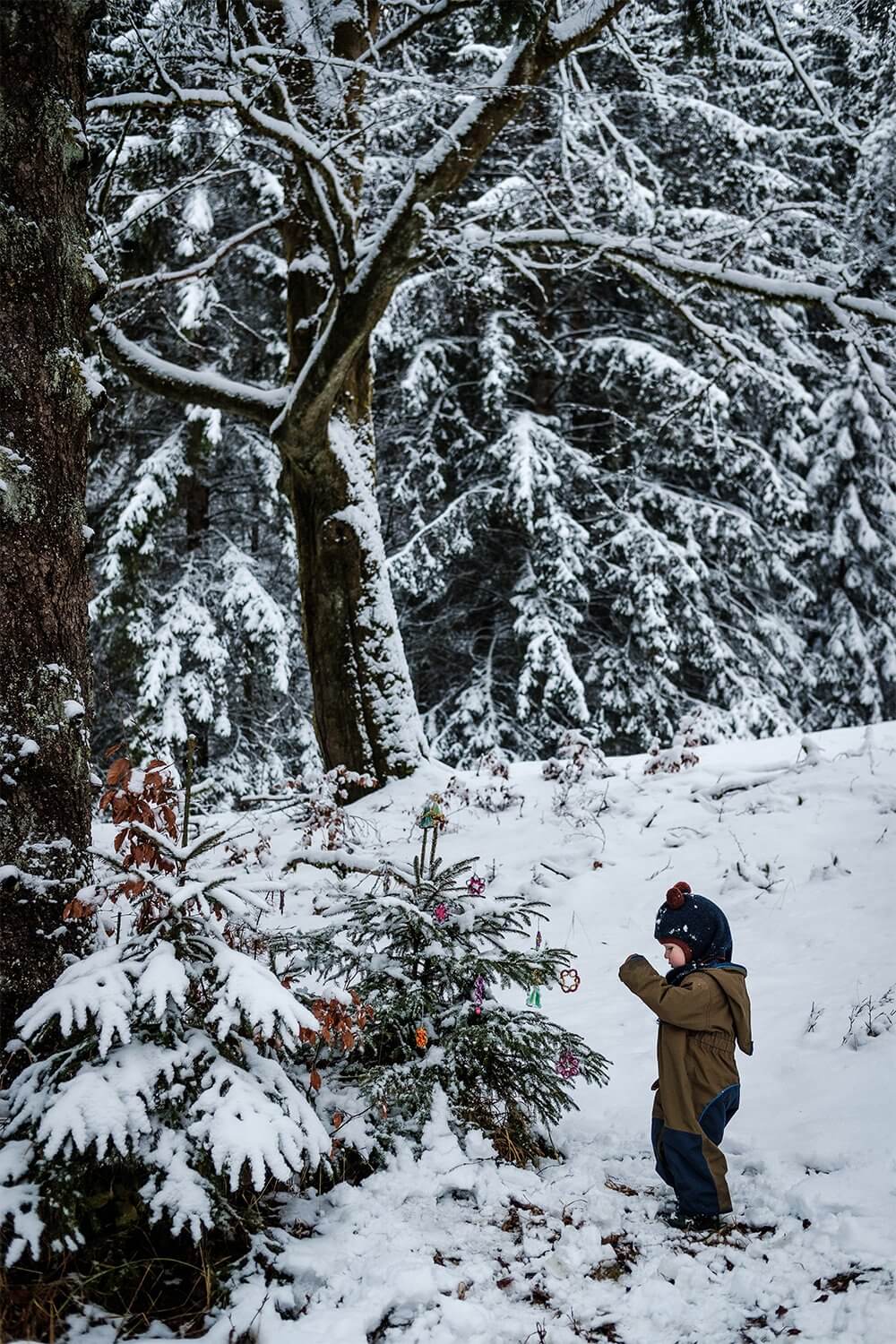 Todo de la mano de los niños: haz adornos sencillos para el árbol de exterior Todo de la mano de los niños: haz adornos sencillos para el árbol de exterior