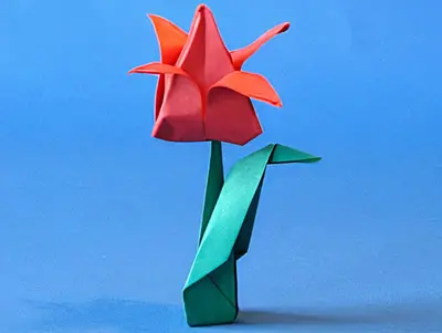 arreglar hermosas flores arreglar hermosas flores